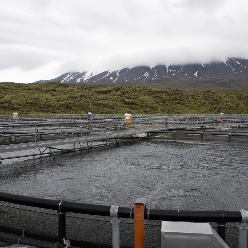 Fiskeldi